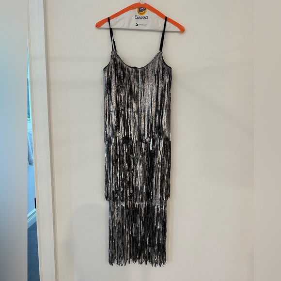 Dress The Population Roxy Silver Fringe Dress Size XS - Picture 3 of 5